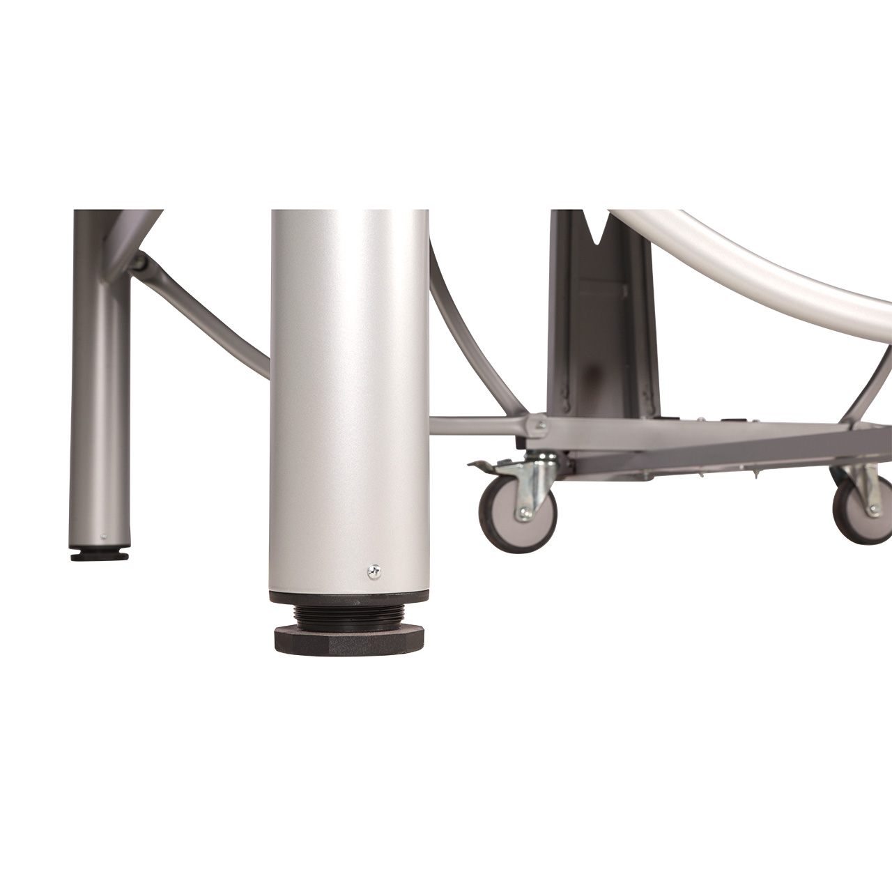 World Champion TC (sans filet) – Image 10