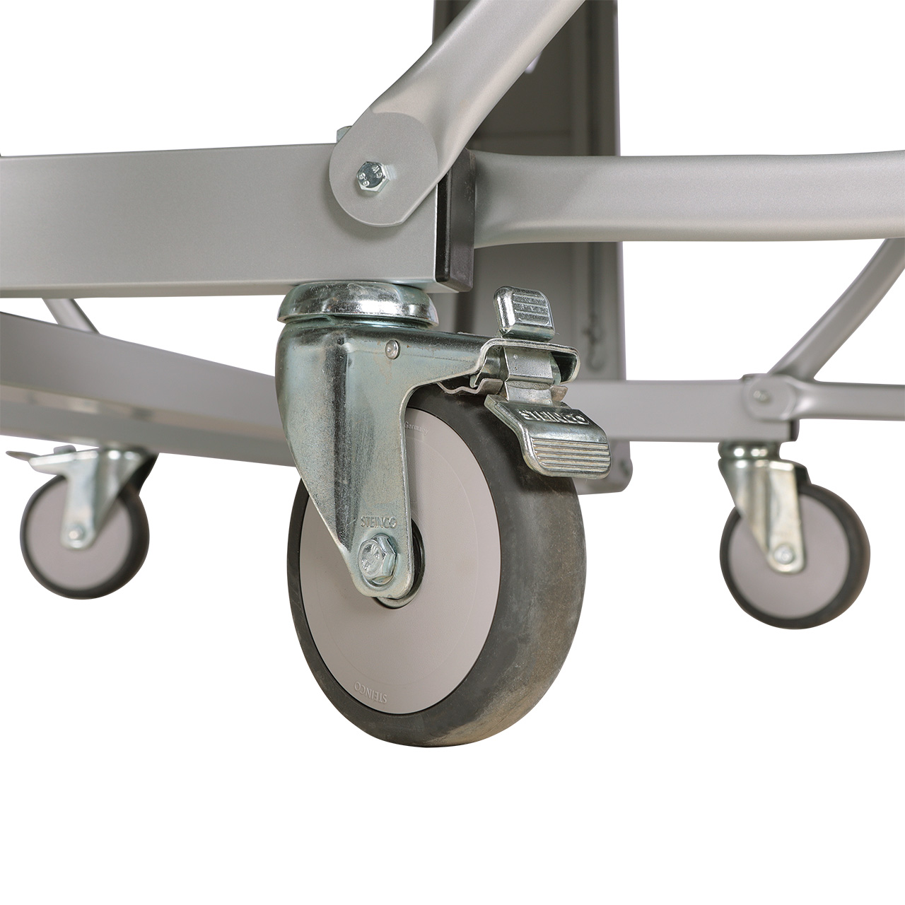 World Champion TC (sans filet) – Image 11